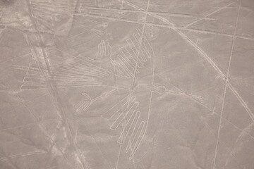 Aerial view of Nazca Lines, The Condor, Peru