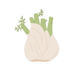 Bulb-like fennel root with leaves. Icon of green organic vegetable. Fresh raw aromatic finocchio plant. Colored flat vector illustration of healthy food isolated on white background - obrazy, fototapety, plakaty