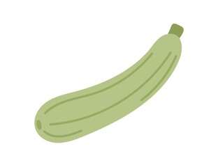 Green squash vegetable. Courgette icon isolated on white background. Fresh raw food plant. Natural healthy veggie. Flat vector illustration of whole zucchini