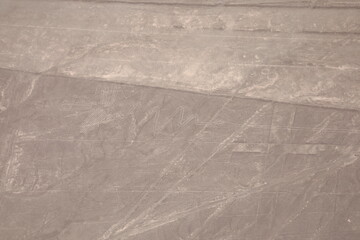 Aerial view of Nazca Lines, The Heron, Peru