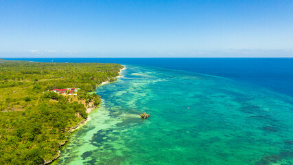 Obraz premium Beautiful tropical beach with white sand, palm trees, turquoise ocean. Bohol, Anda area, Philippines.
