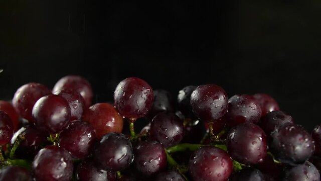 Studio shooting fresh grapes.