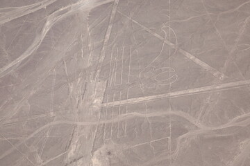 Aerial view of Nazca Lines, The Parrot, Peru