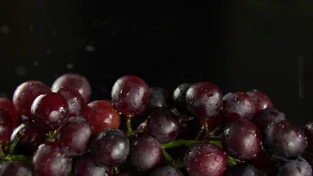 Studio shooting fresh grapes.