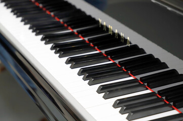 musical instrument piano keys and strings