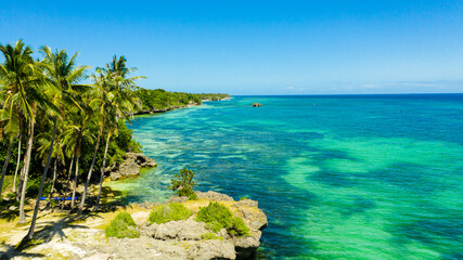Beautiful tropical beach with white sand, palm trees, turquoise ocean. Bohol, Anda area, Philippines.