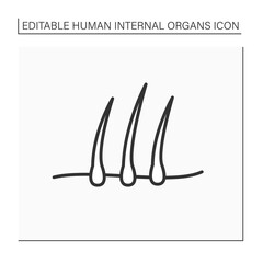 Hair line icon. Body protection. Hair growth bulb.Baldness concept.Isolated vector illustration.Editable stroke