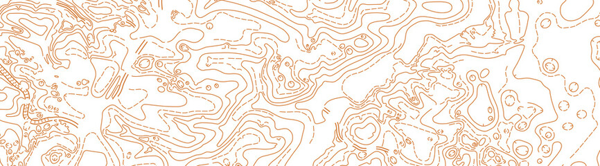 Abstract vector topographic map on white background