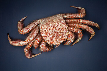 Cast-iron pan with boiled horsehair crab, flatlay over dark brown stone background, studio shot
