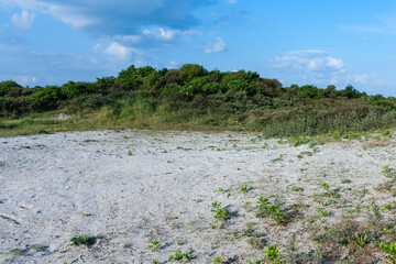 Duinen van Oostvoorne