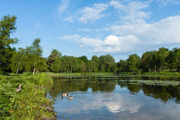 Lake at Duinen van Oostvoorne