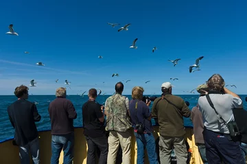 Fotobehang Recreation at Wadden Sea © AGAMI