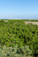 Landscape at Kwade Hoek