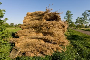 Poster Rietbalen, Reed Bales © AGAMI