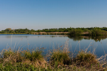 Obraz na płótnie Canvas Waterplas in Rottige Meente, Lake at Rottige Meente