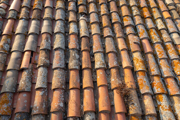 Old roof tiles with moss. Background texture
