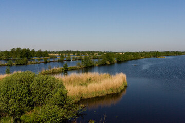 Laagveenmoeras in Rottige Meente, Peat-bog at Rottige Meente