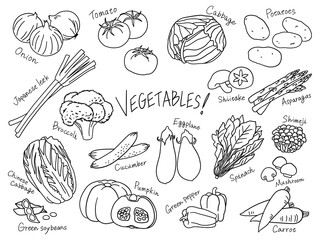  Vegetables line drawing vector illustration set.