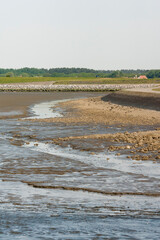 Fototapeta na wymiar Waddenzee, Wadden Sea