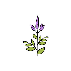 Patchouli olor line icon. Essential oils. Pictogram for web page, mobile app, promo.