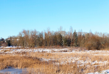 winter day after a snowfall