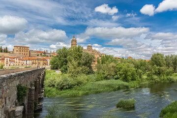 Fototapeta na wymiar Majestic view at the gothic building at the Salamanca cathedral tower cupola dome and University of Salamanca tower cupola dome, surrounding vegetation, roman bridge and tormes river