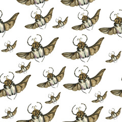 Pattern with stag beetle, butterfly, mother. beautiful pattern with insects. Beetle with wings. Watercolor butterflies, beetle. For wallpaper, textile, design, book, botany. stock graphics.  - 443594502