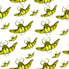 Pattern with stag beetle, butterfly, mother. beautiful pattern with insects. Beetle with wings. Watercolor butterflies, beetle. For wallpaper, textile, design, book, botany. stock graphics.  - 443594512