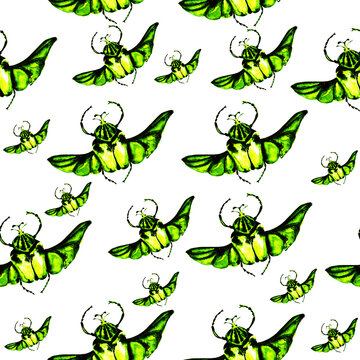 Pattern with stag beetle, butterfly, mother. beautiful pattern with insects. Beetle with wings. Watercolor butterflies, beetle. For wallpaper, textile, design, book, botany. stock graphics. 