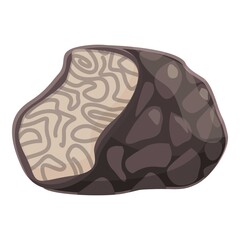 Cuisine truffle icon cartoon vector. Cooking truffle. Fungus mushroom
