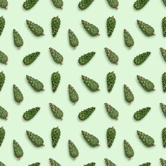 Seamless pattern from natural green pine cones on pastel green. Christmas and New Year Holiday nature Natural environmental ornament.