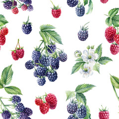 Seamless pattern, berry background, branches of blackberries, raspberries, watercolor botanical illustration