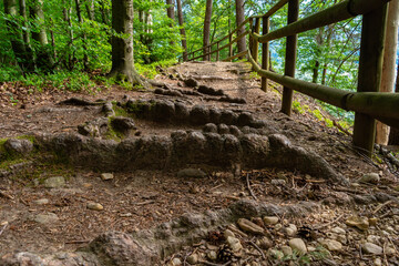 Hiking trail in the Austrian Alps near Drobollach, Carinthia, Austria