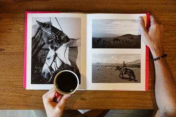 A book of horse photography - obrazy, fototapety, plakaty