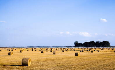 stacks of wheat straw