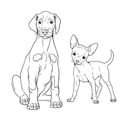 The Dobermann and German Pinscher. Cute dogs puppies. Coloring template. Digital illustration.	