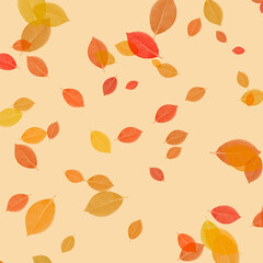 Autumn leaves background