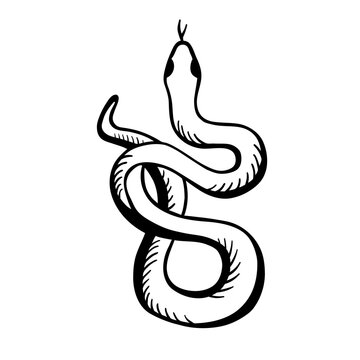 Snake is wrigging. Black white vector illustration in hand drawn style. The classic image of the snake is isolated on a white background.