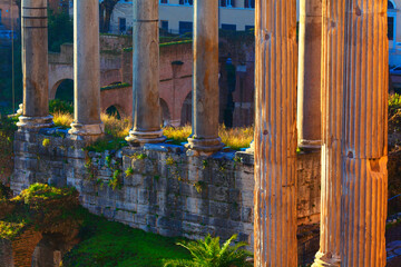 Columns of Roman Forum in Rome ,Lazio, Italy . Ruins of ancient architecture