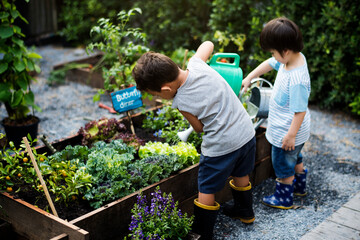 Little boys watering the plants