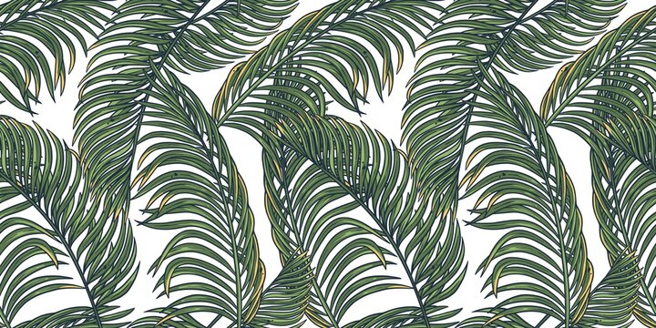 Tropical plant for seamless pattern. Hawaii or summer leaves. Palm for tropic surf design