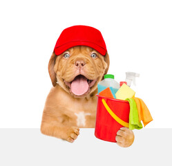 Cleaning concept. Happy puppy wearing red cap holds bucket with  washing fluids and rags in paws above empty white banner . isolated on white background