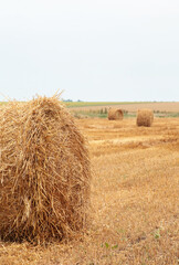 Hay bail harvesting in golden field landscape. Vertical photo