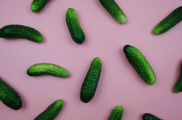 cucumbers on a pink background top view