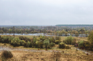 Obraz premium River flood view. Beautiful flooded meadow. The river is full of water in spring