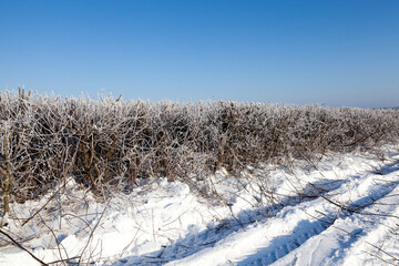 winter day after a snowfall