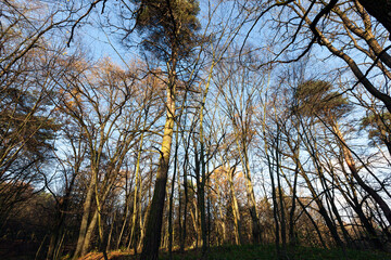 autumn landscape illuminated by sunlight