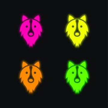 Border Collie Head four color glowing neon vector icon