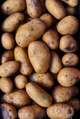 Top view close up potatoes background
