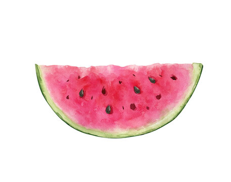 watercolor illustration of a slice of ripe red watermelon with black seeds. hand-painted.